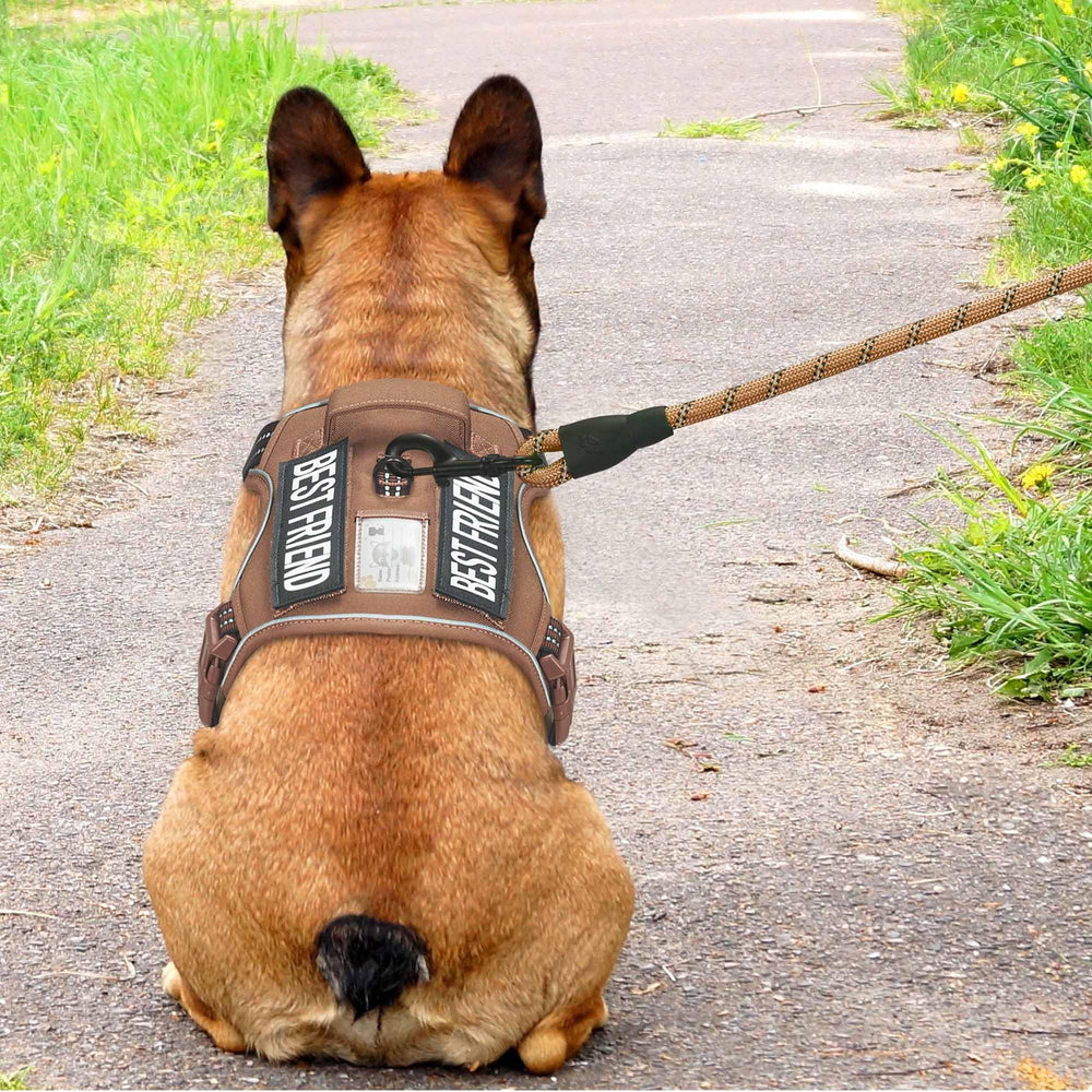 Beebiepet heavy-duty tactical harness chest buckles open for easy on and off.