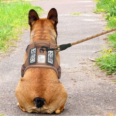 Beebiepet heavy-duty tactical harness chest buckles open for easy on and off.