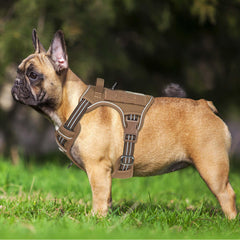 Beebiepet heavy-duty tactical harness neck and chest adjustment for perfect fit on medium dogs.