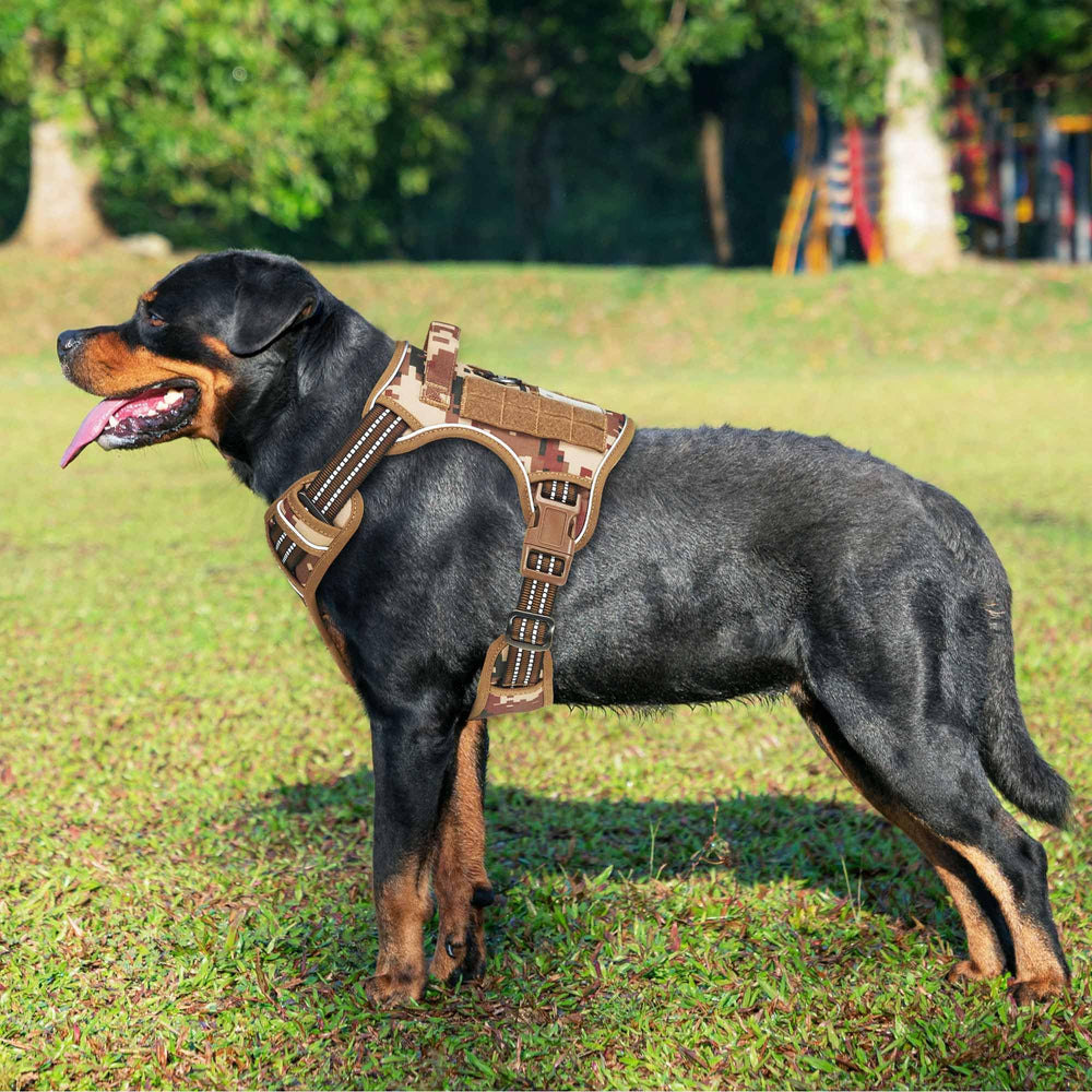 Beebiepet large-dog harness no-pull close-up highlighting easy fit and secure control