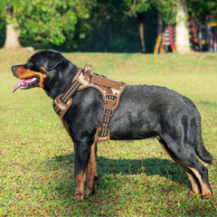 Beebiepet large-dog harness no-pull close-up highlighting easy fit and secure control