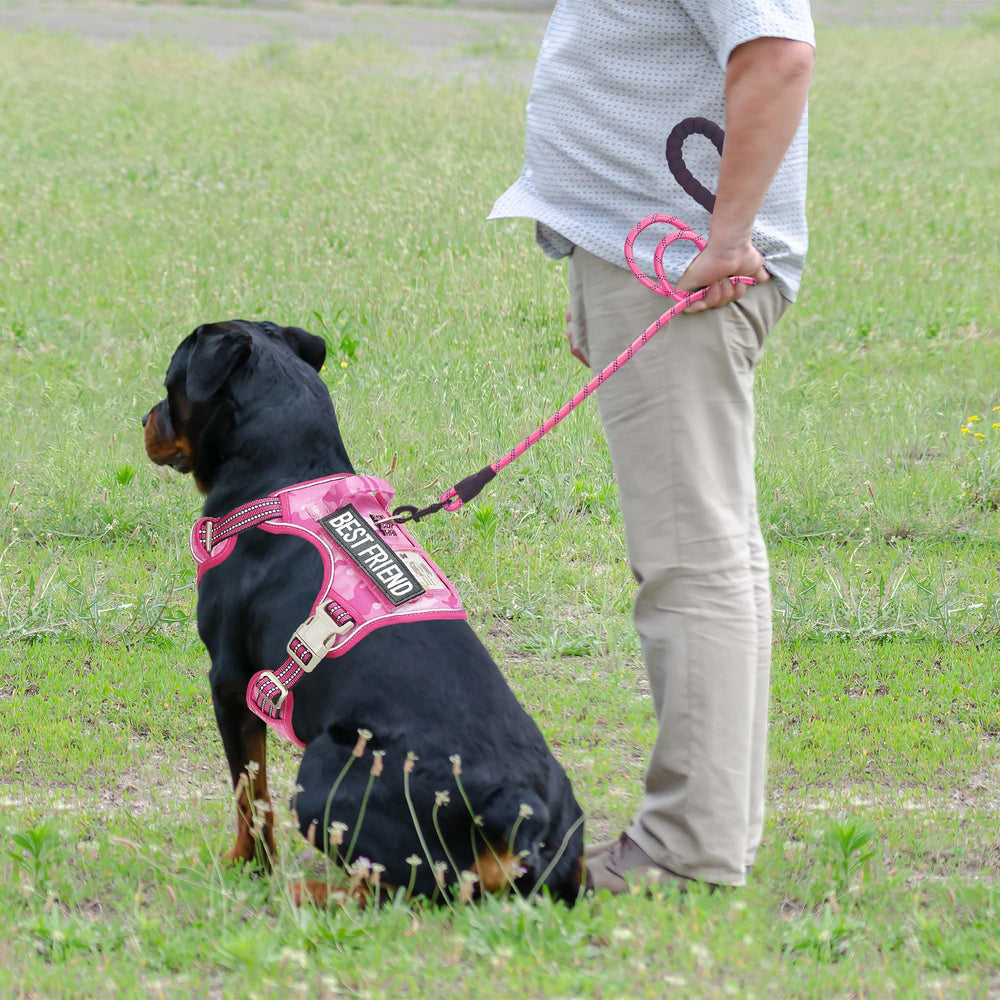 Beebiepet MOLLE-system dog harness with side attachments for essential gear