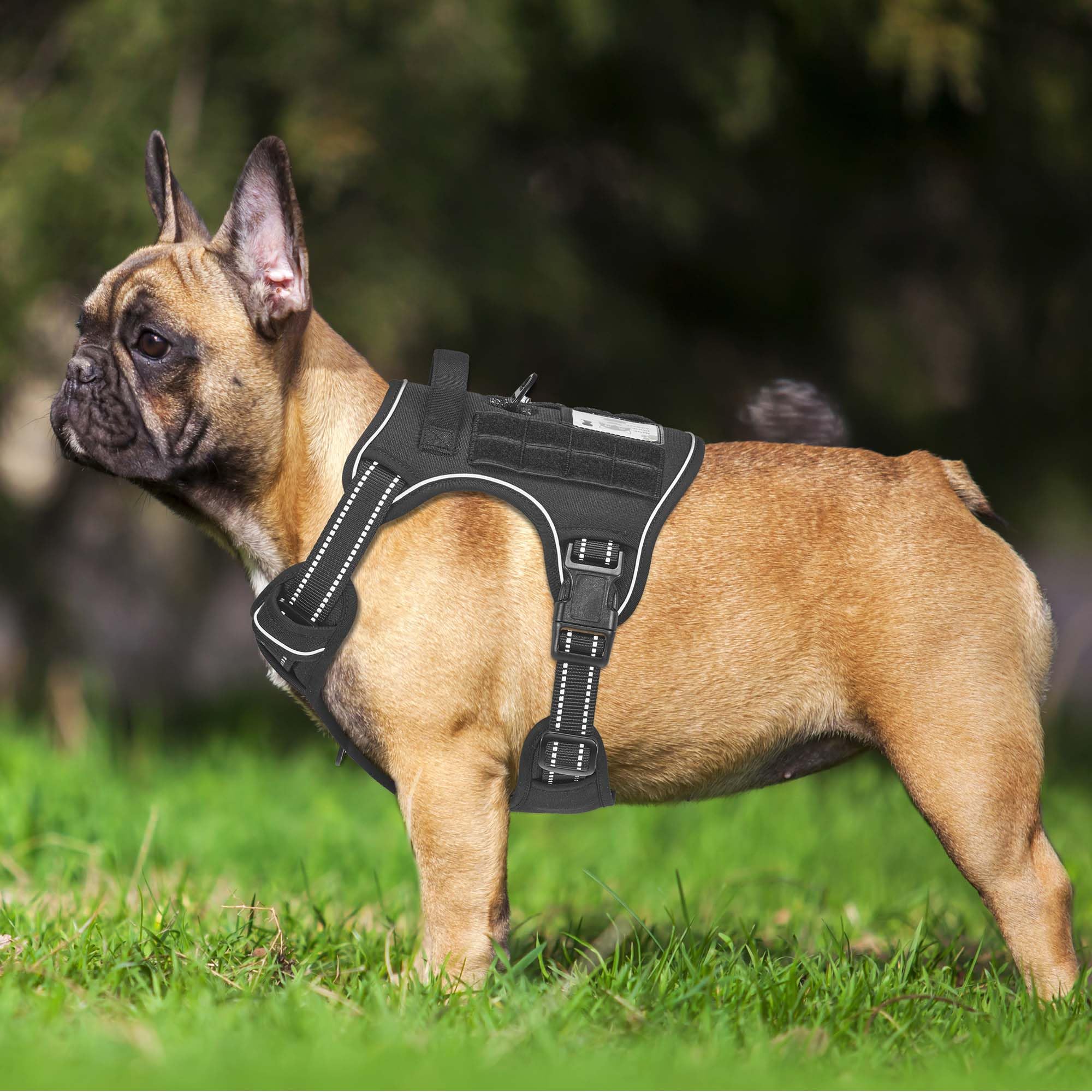 Beebiepet molle-system harness side view with attachable pouches for gear.