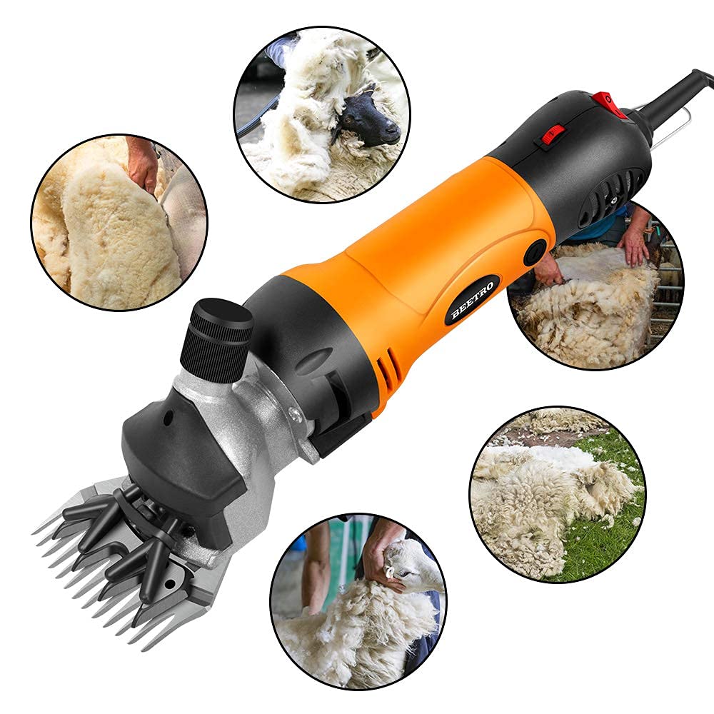 BEETRO carbon brush replacement to extend tool life and performance.