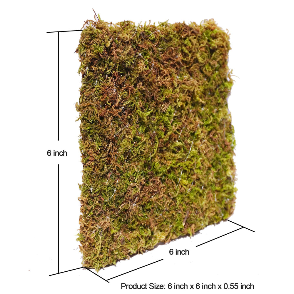 Begeterday 6 Inch Hermit Crab Climbing Wall durable galvanized mesh resists rust