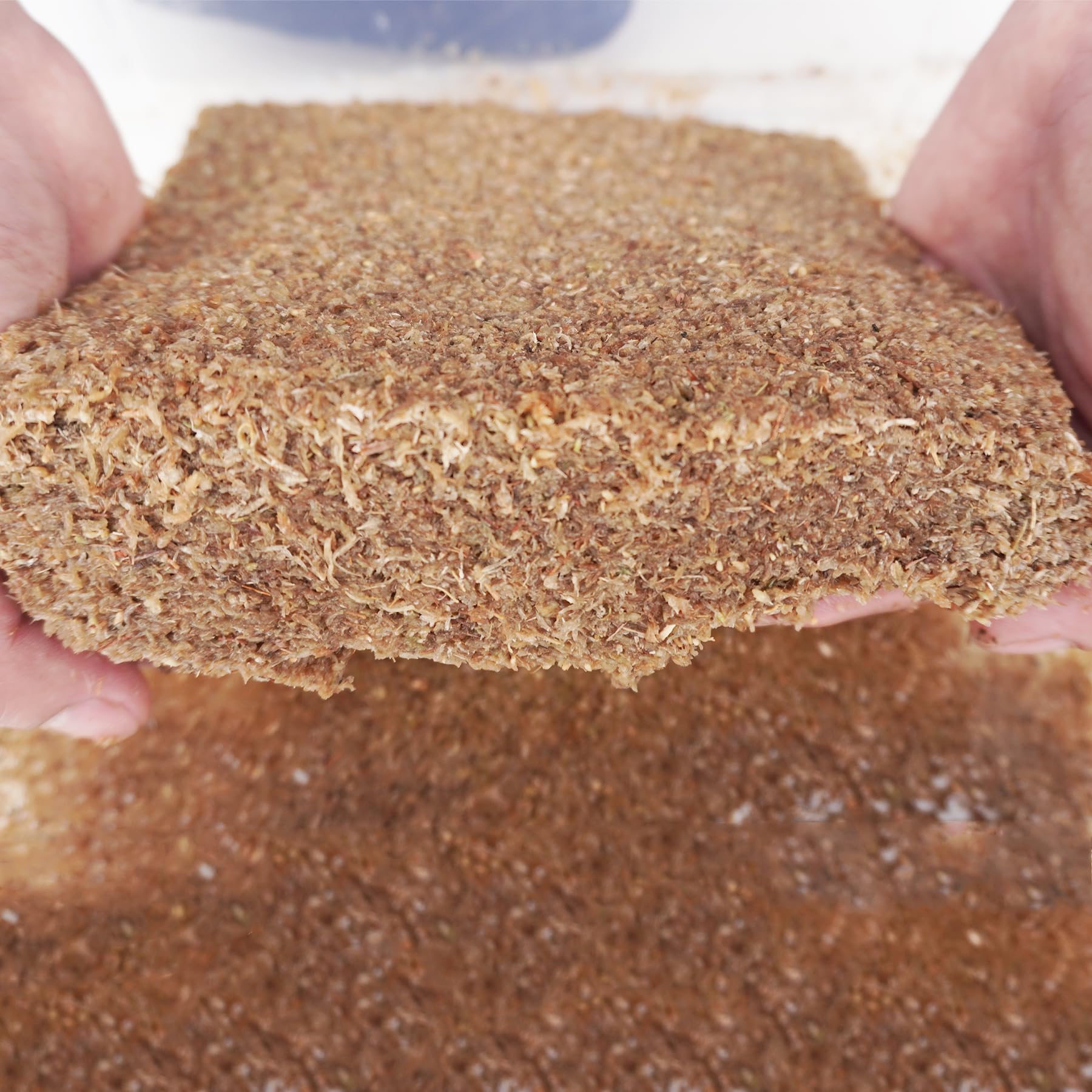 Begeterday environment friendly substrate that is biodegradable and compostable