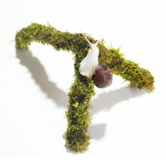 Begeterday snail moss pole 12in closeup highlighting natural moisture for climbing