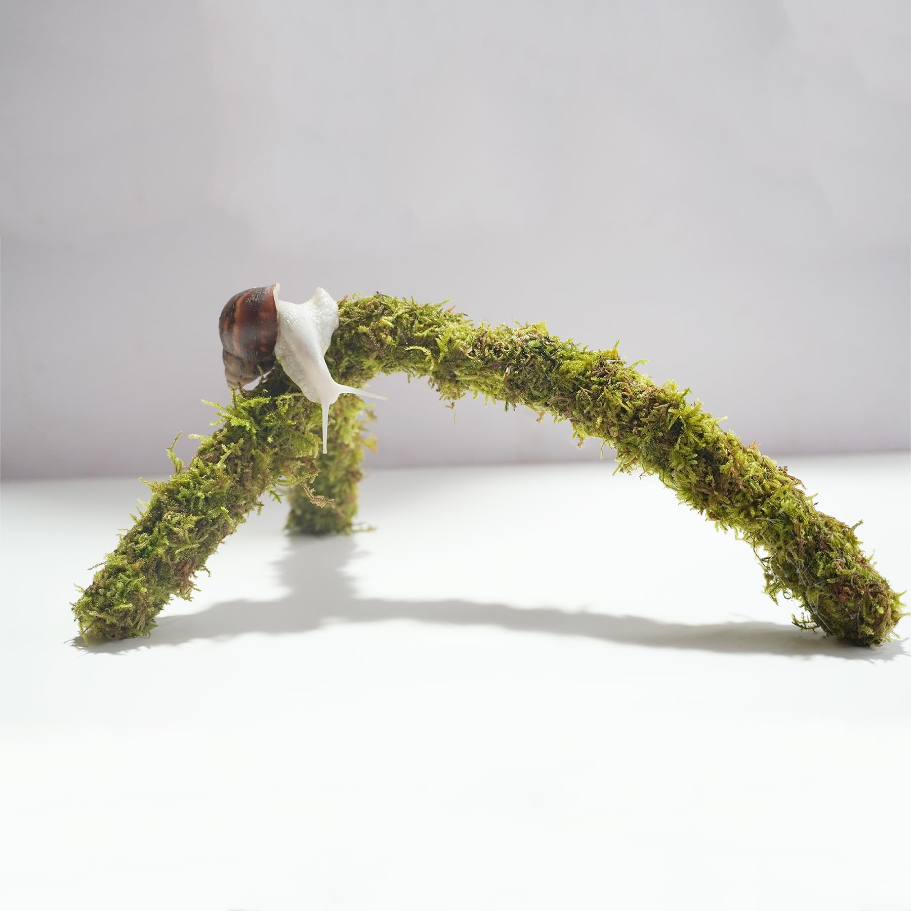 Begeterday snail moss pole adjustable height for custom climbing walls