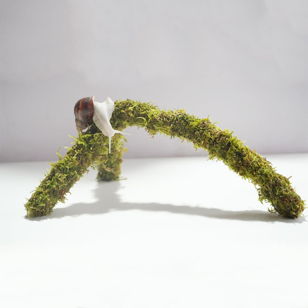 Begeterday snail moss pole adjustable height for custom climbing walls
