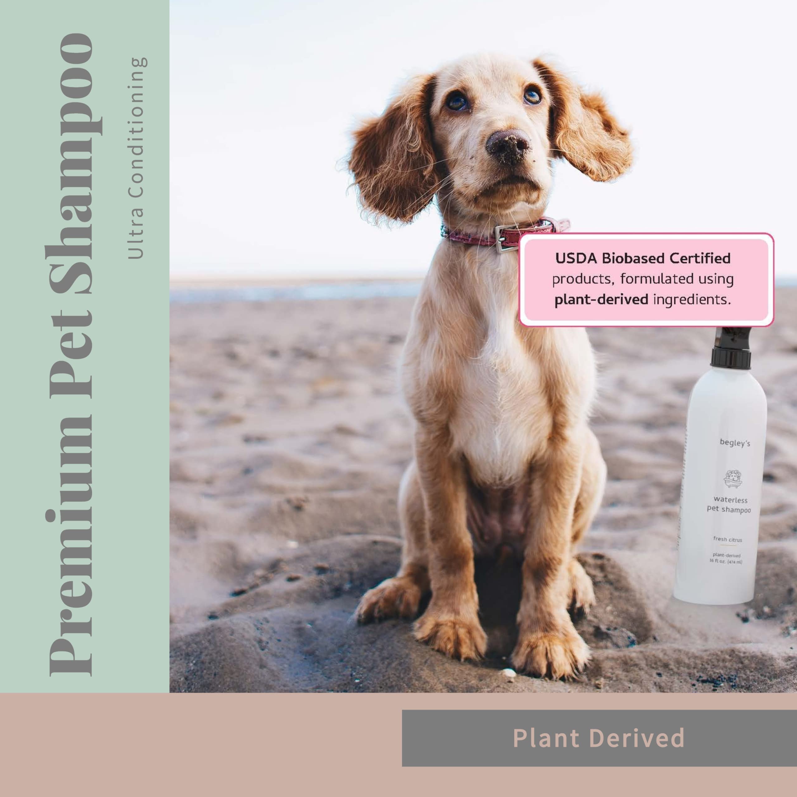 Begley’s No Rinse deodorizes and refreshes a dog’s coat between baths