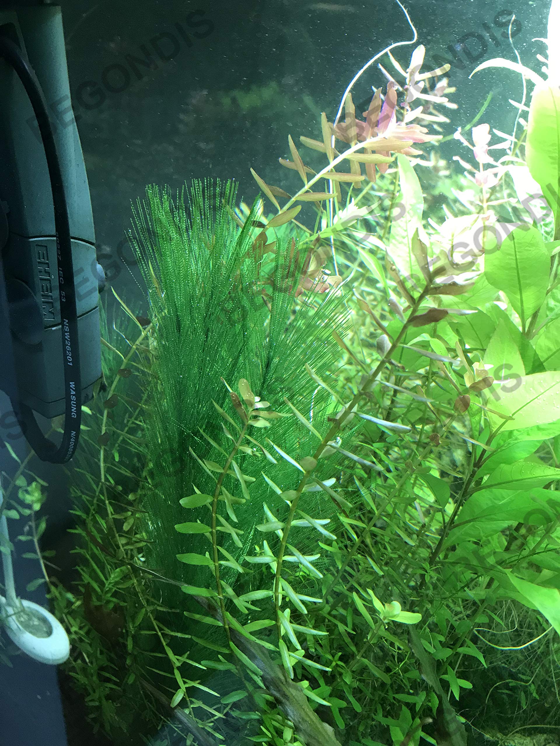 BEGONDIS aquarium-decor-5pcs-01—five-piece set for versatile aquarium layouts.