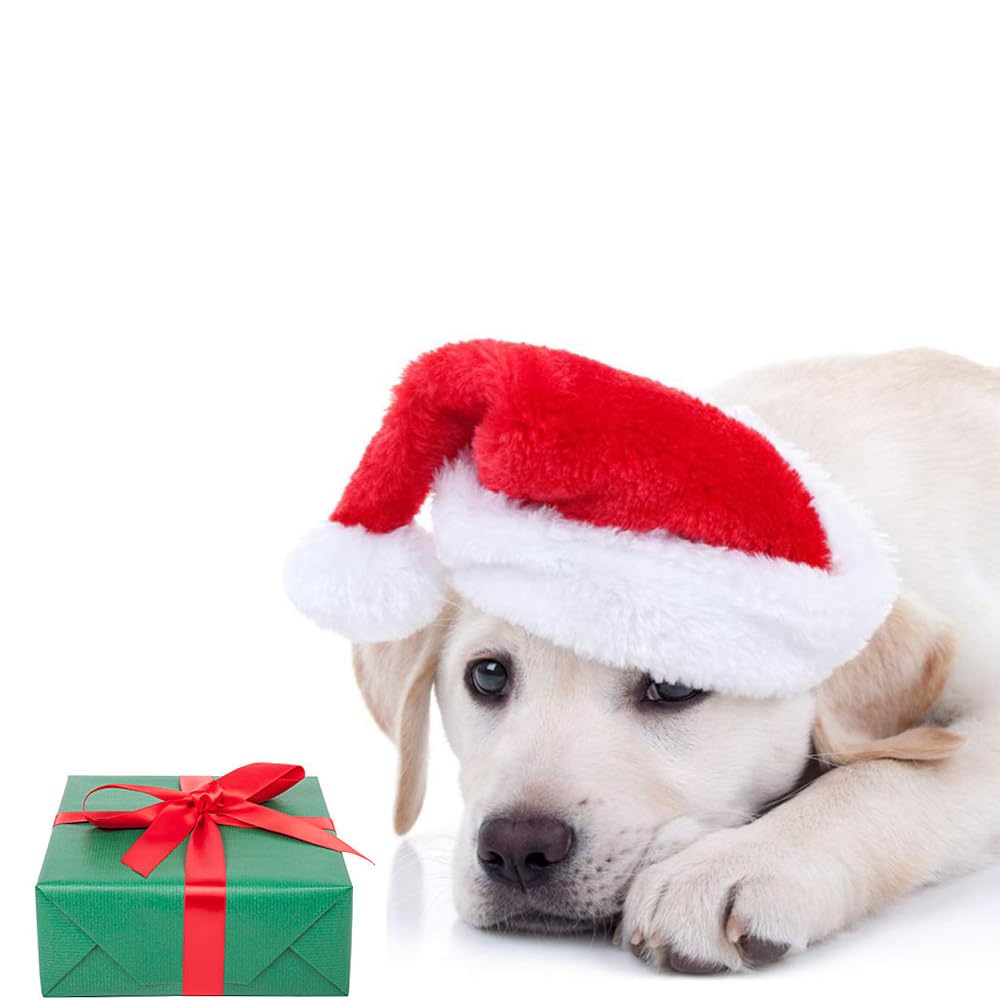 Beiabang festive-pets-collection image showing coordinated holiday looks.