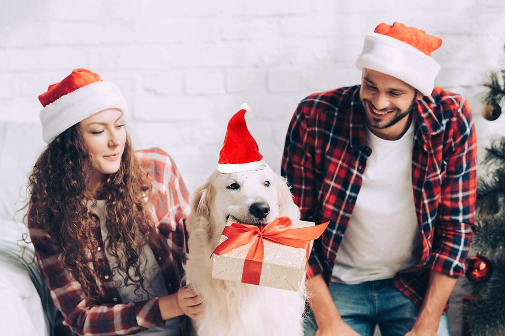 Beiabang holiday pet photo setup with Santa hats and props.