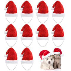 Beiabang Santa hat on a small dog for festive photography.