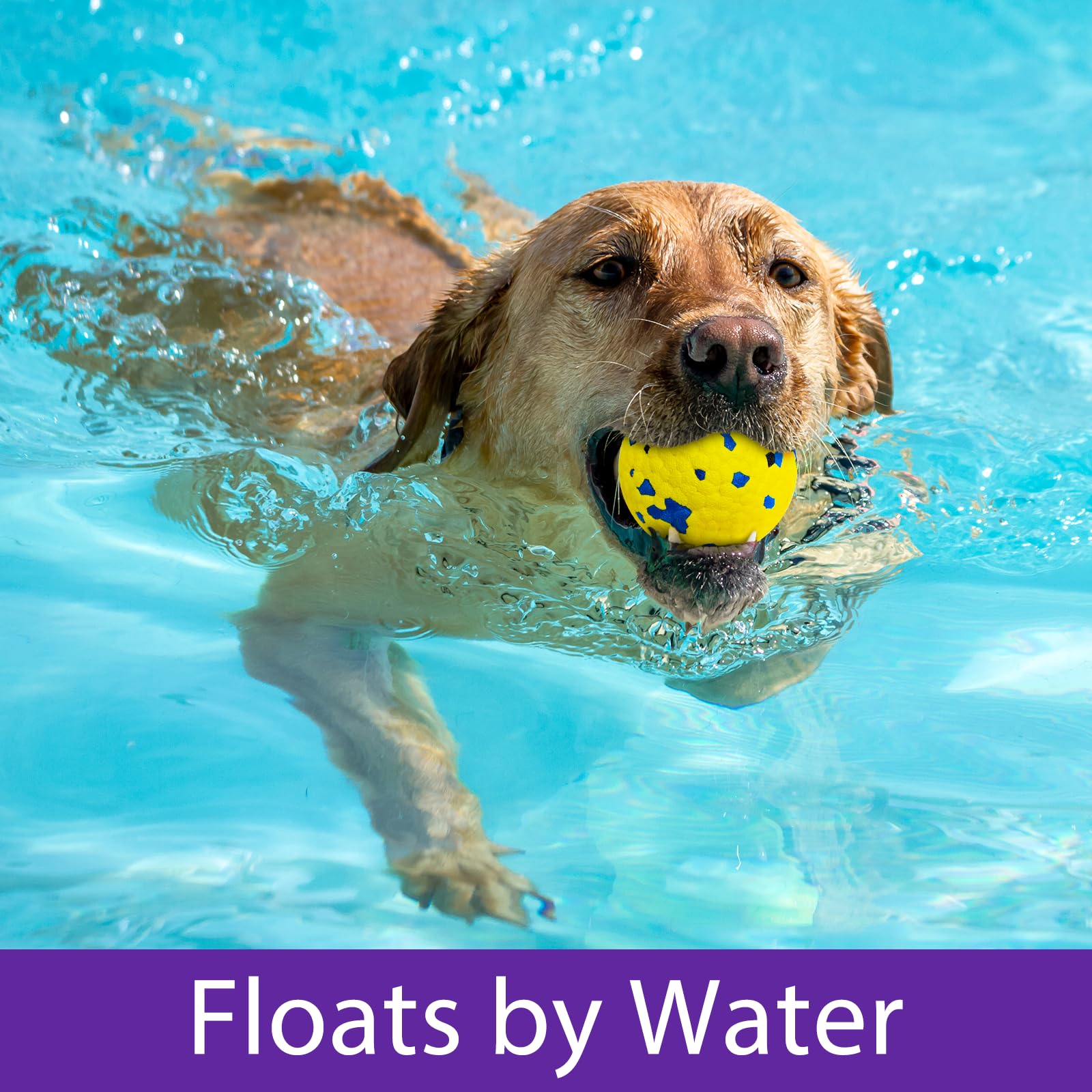 Beieverluck colorful dog balls boost engagement with high-visibility textures for longer play.