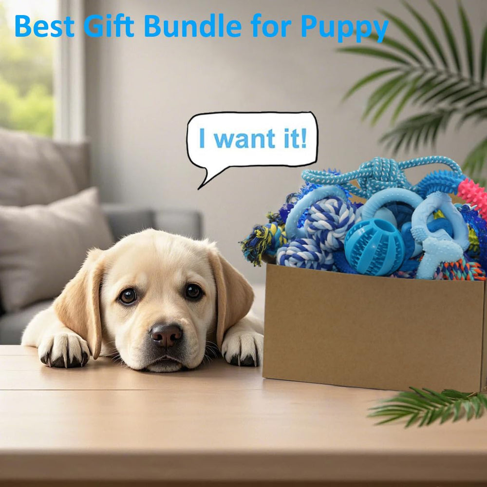 Beiker gift-box packaging shows Beiker puppy toys ready for gifting.