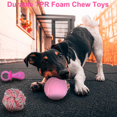 Beiker rubber toothbrush bone toy with soft spikes for gum massage during chew sessions