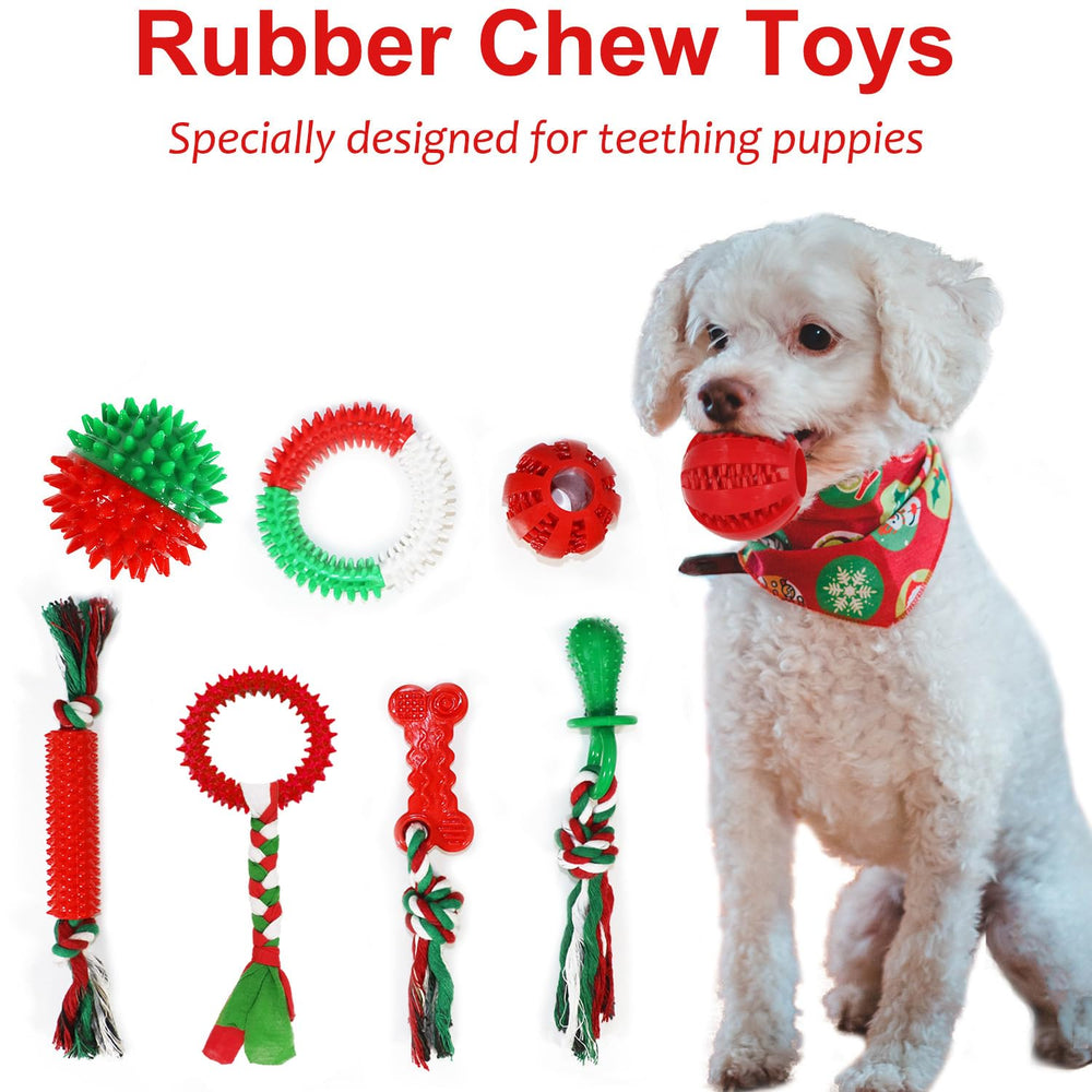 Beiker treat ball with outdoor flyer for rewarding play.