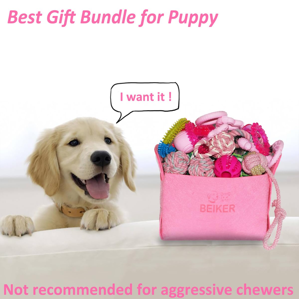 Beiker treat-filled ball toy offers tasty rewards during training and play