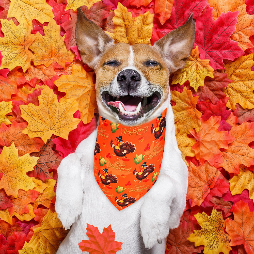 Beipegin Thanksgiving dog bandana adjustable neck fit for small to medium dogs.