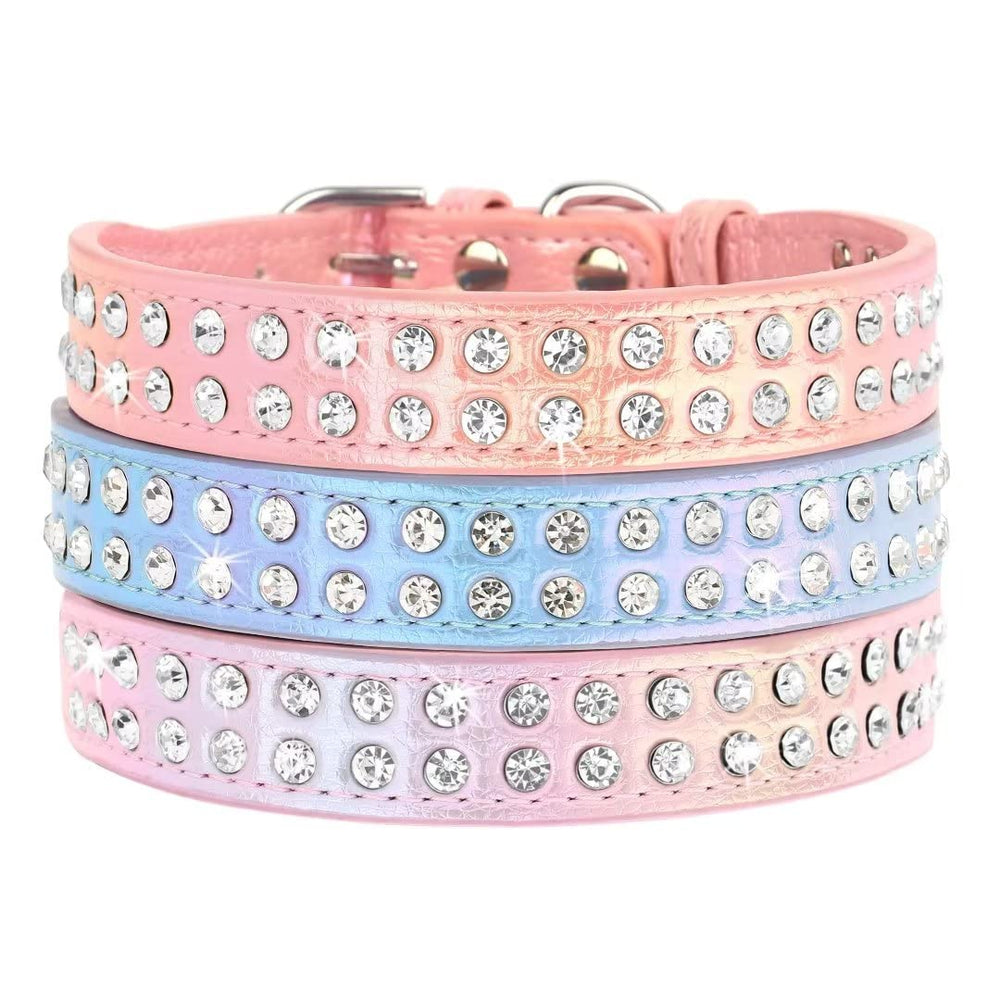 Beirui Bling Rhinestone Dog Collar Purple worn-on-dog lifestyle shot
