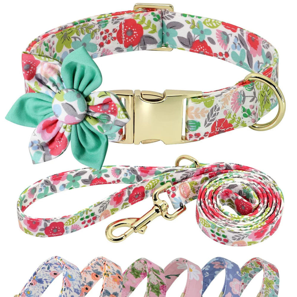 Beirui collar flower-attachment adds decorative flair during daily dog walks