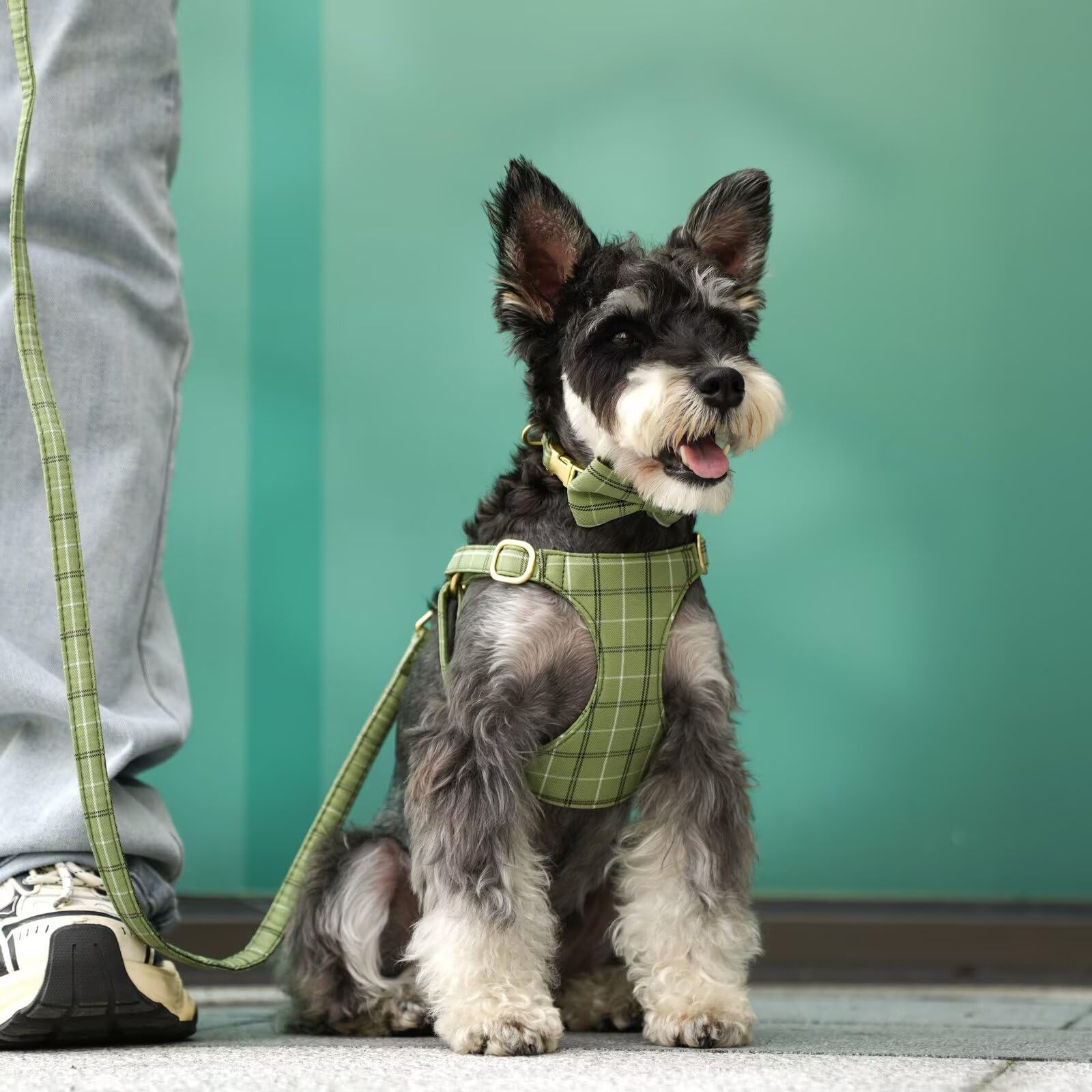 Beirui collar in green plaid to complete the look on outings.