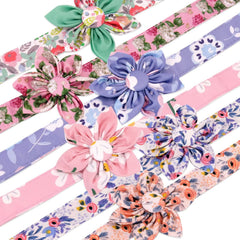 Beirui collar-leash-set ensures comfortable, secure outings with reliable hardware