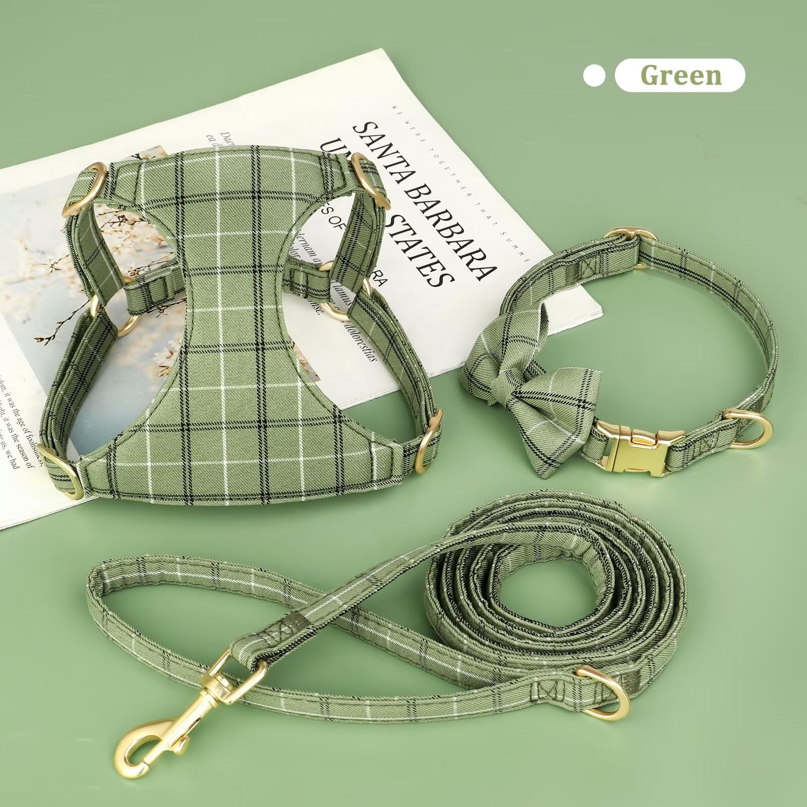 Beirui 5ft leash in green plaid for steady, relaxed walks.