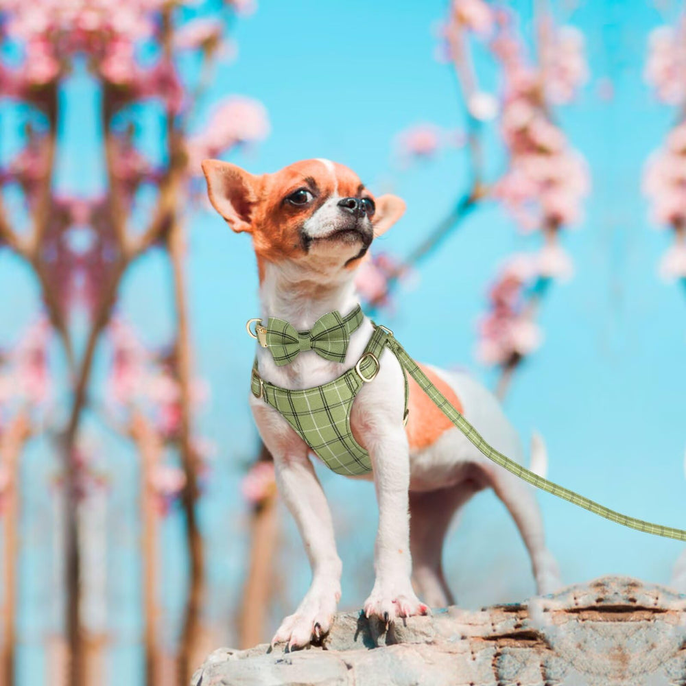 Beirui plaid harness front-clip design adjustable breathable for small dogs.