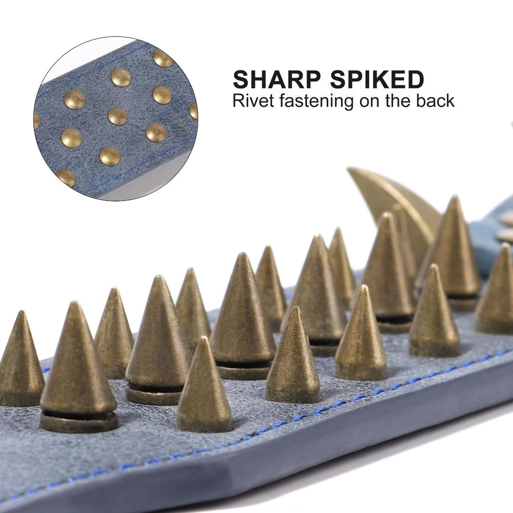 Beirui spiked collar with anti-bite rivets on rugged PU leather.