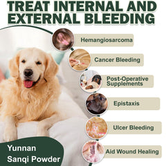 Beishiya dog meal bowl with powder being mixed for daily wellness support.