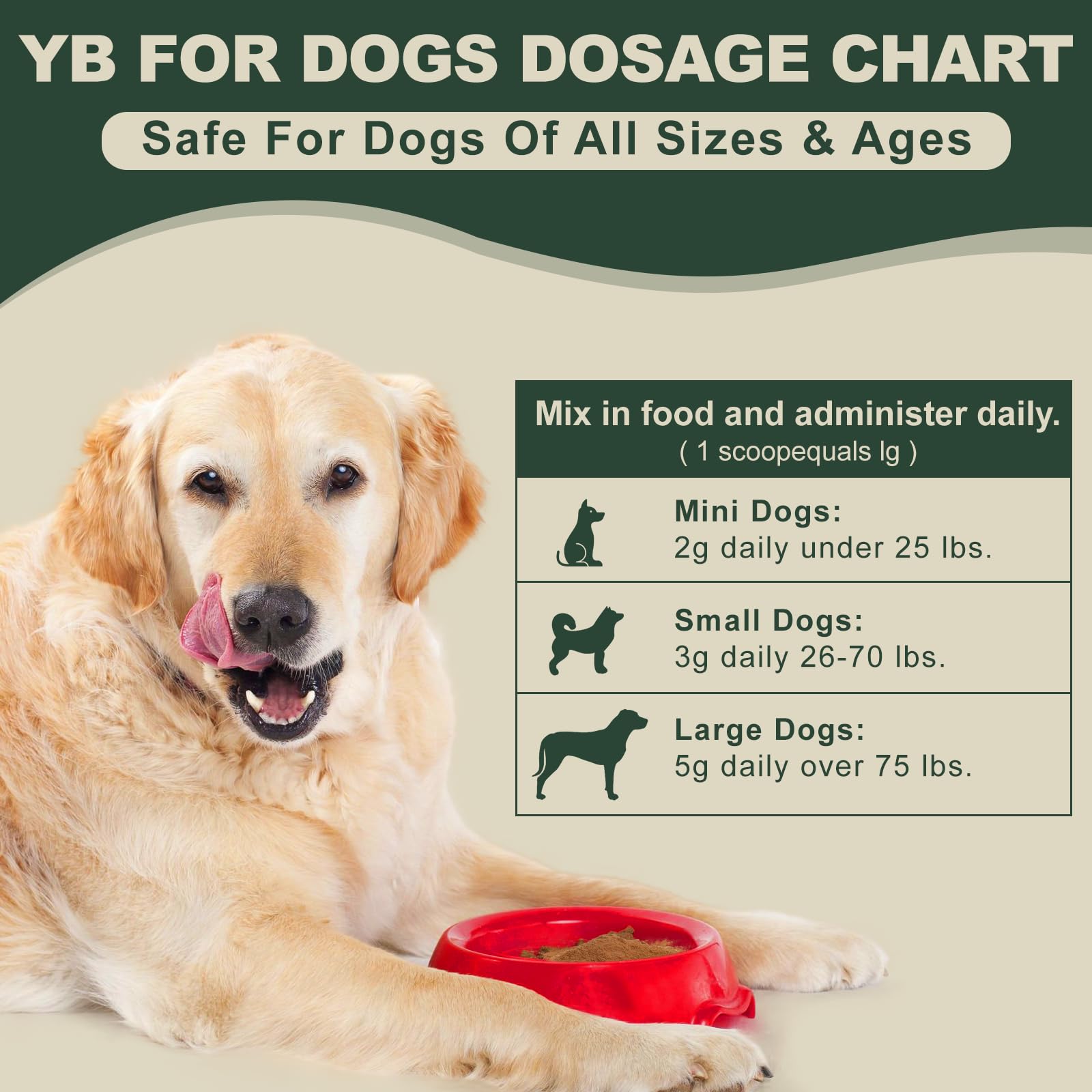 Beishiya dog and owner at park walk illustrating possible quality-of-life support.