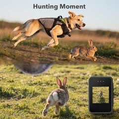 BEISLUO dog harness camera back-view records natural movement during runs.