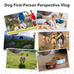 BEISLUO dog harness camera display shows 1.54-inch screen for quick review.