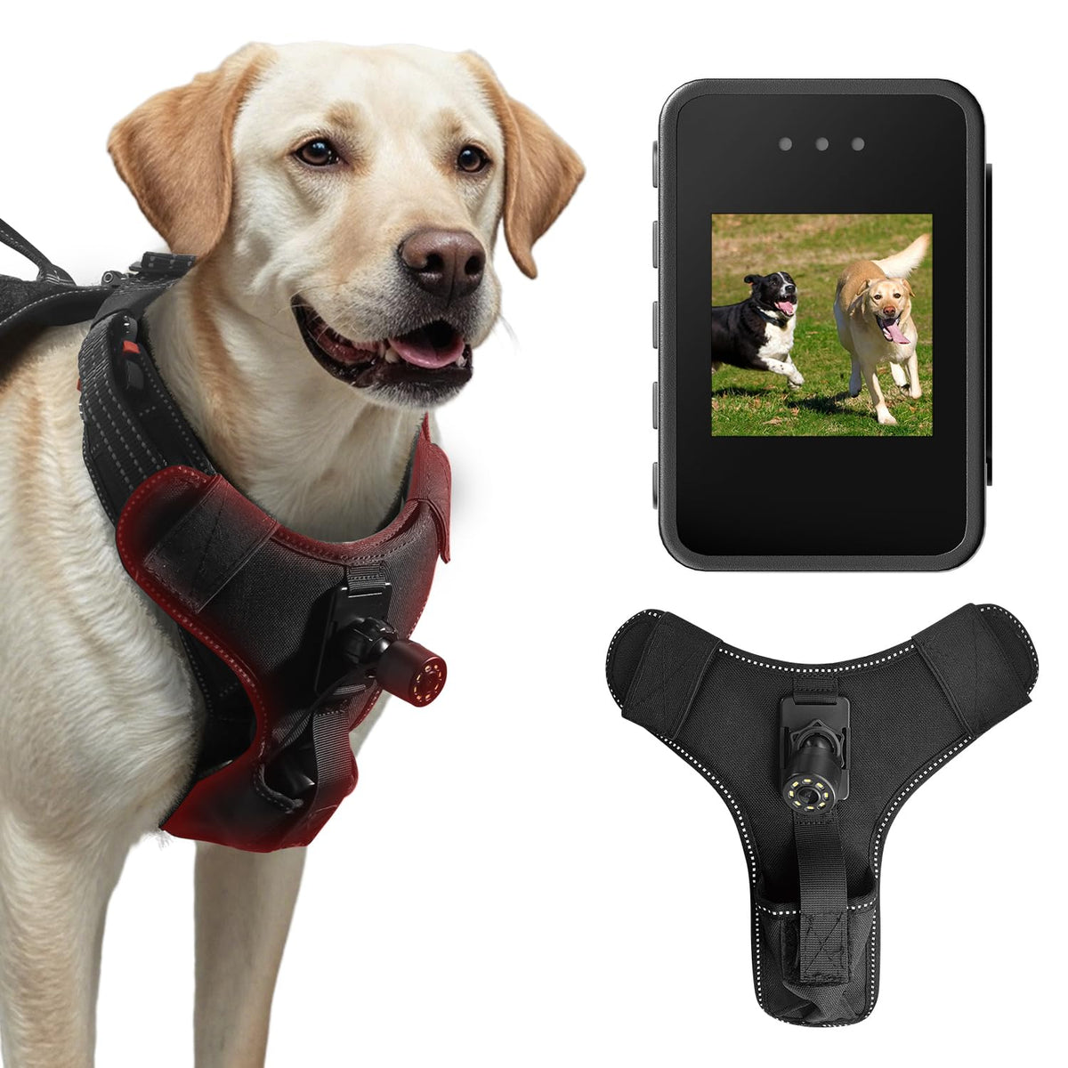 BEISLUO dog harness camera front-view captures first-person action and playful moments.