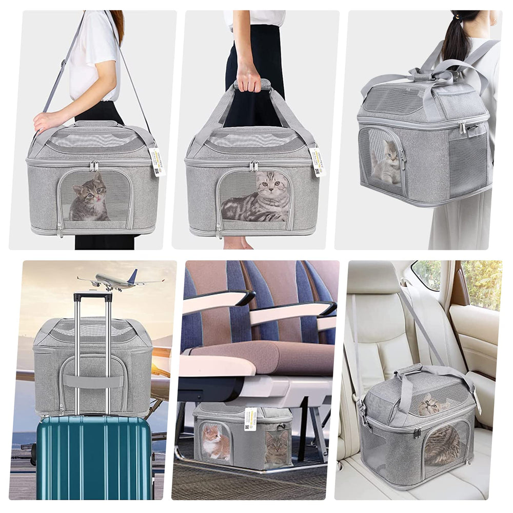 Bejibear large cat carrier folded for storage, space-saving when not in use.