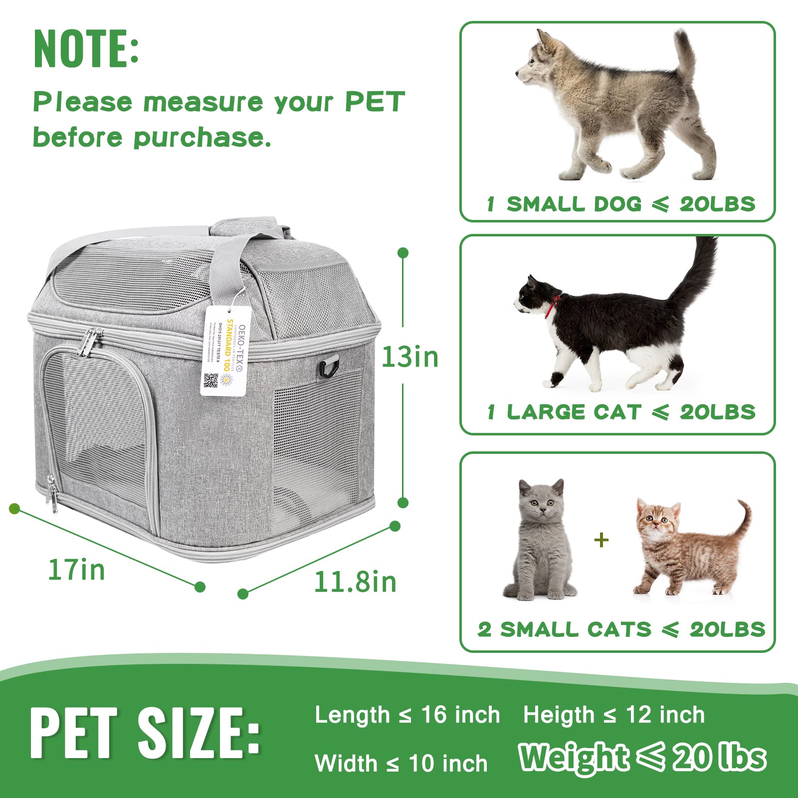 Bejibear large cat carrier ventilation with side windows, improved airflow during trips.