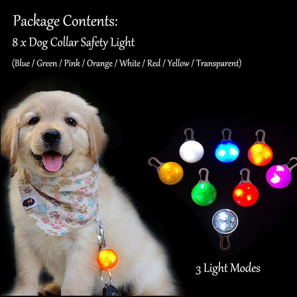 Bekhandy waterproof dog light with IP68 protection for rain
