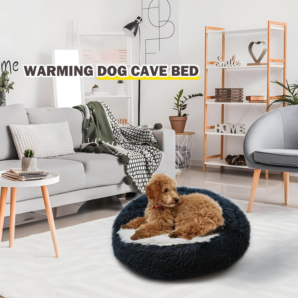 BELEEWILWON compact size fits apartments and cozy corners.