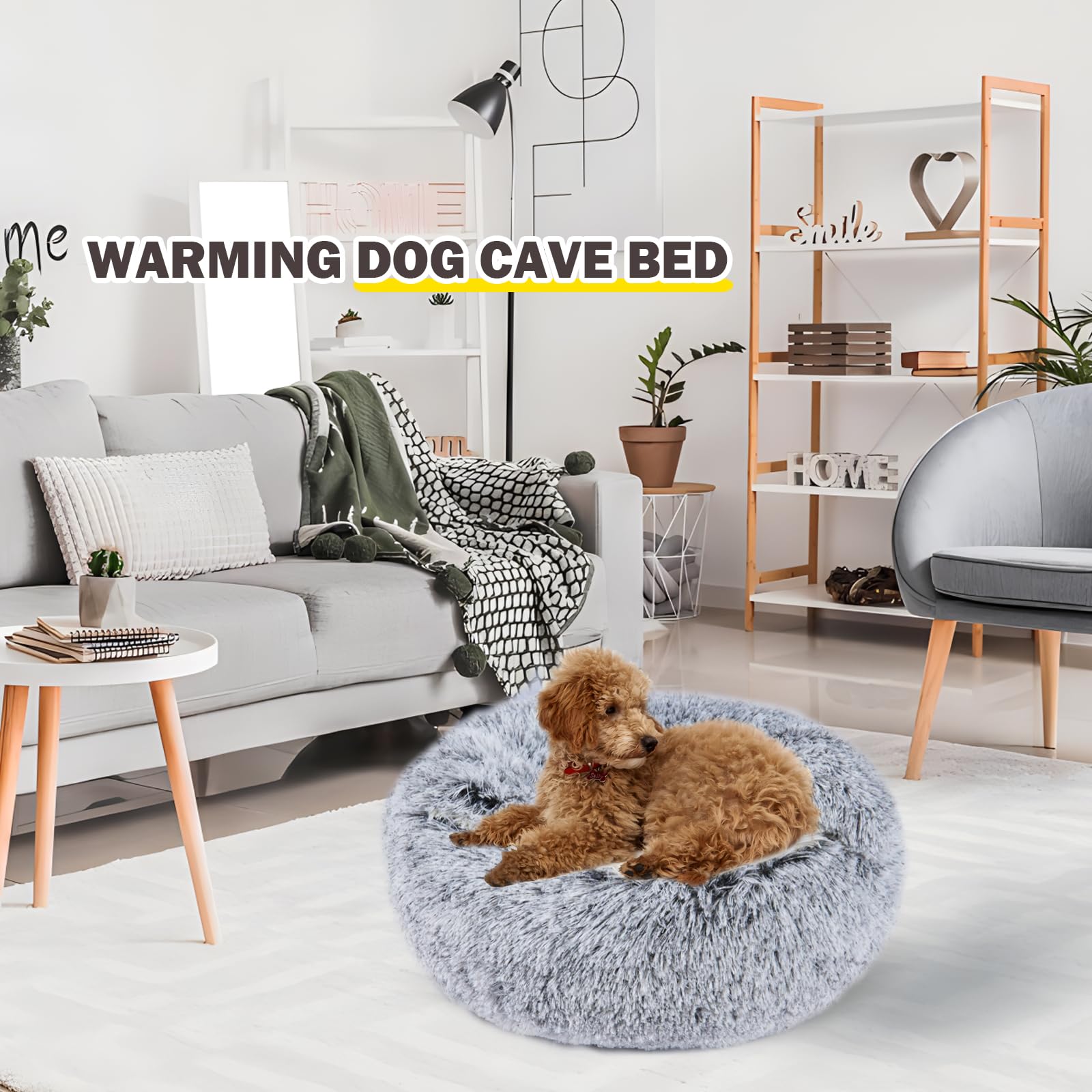 BELEEWILWON grey breathable bed suits small cats and dogs.