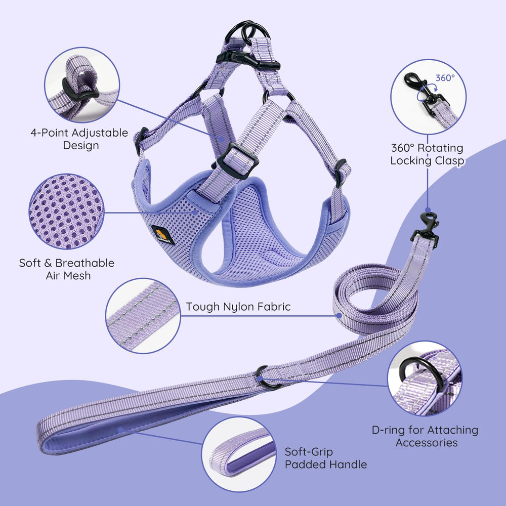 BELLA & PAL breathable mesh harness demonstrates light, quick-dry comfort during walks.