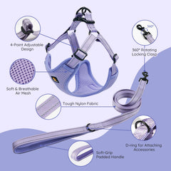 BELLA & PAL breathable mesh harness demonstrates light, quick-dry comfort during walks.