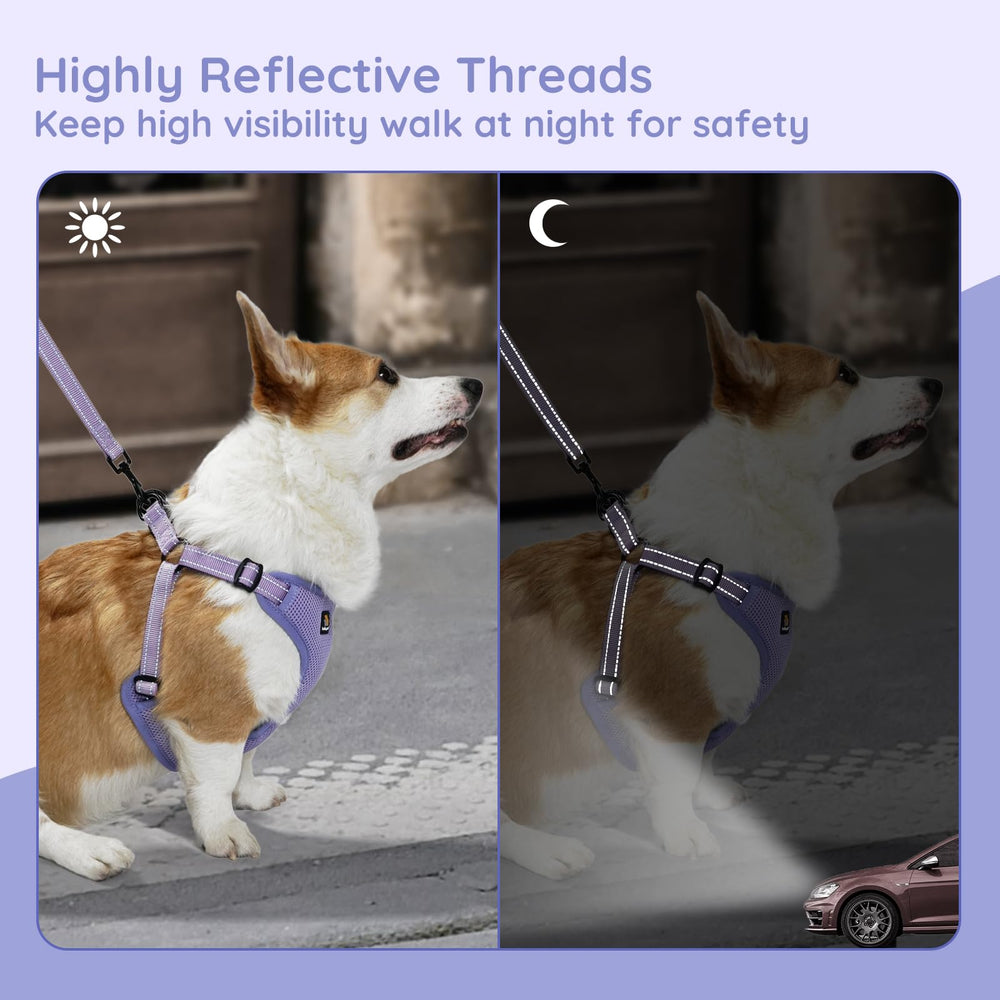 BELLA & PAL easy-on harness shows simple no-fuss step-in design.