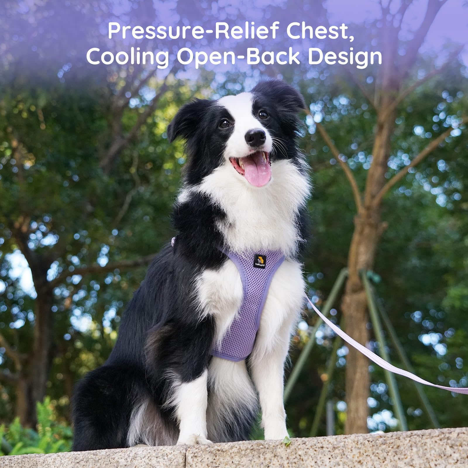 BELLA & PAL no-pull design helps distribute pressure and reduce choking risk.