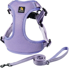 BELLA & PAL adjustable step-in harness overview for comfortable daily wear.
