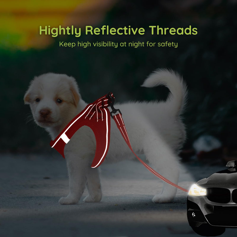 BELLA & PAL leash with reflective strip for night visibility
