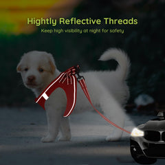 BELLA & PAL leash with reflective strip for night visibility