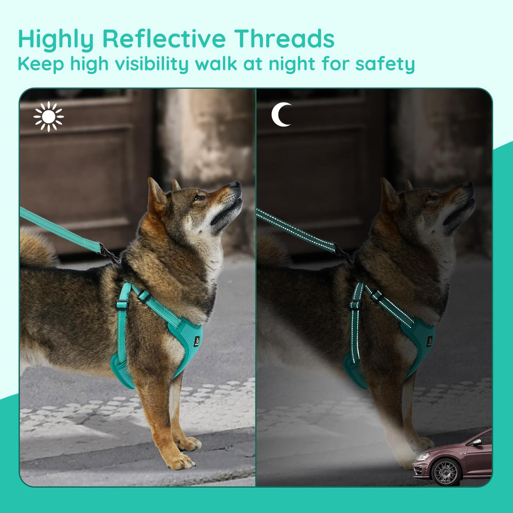 BELLA & PAL leash with reflective strip complements the harness for visibility.