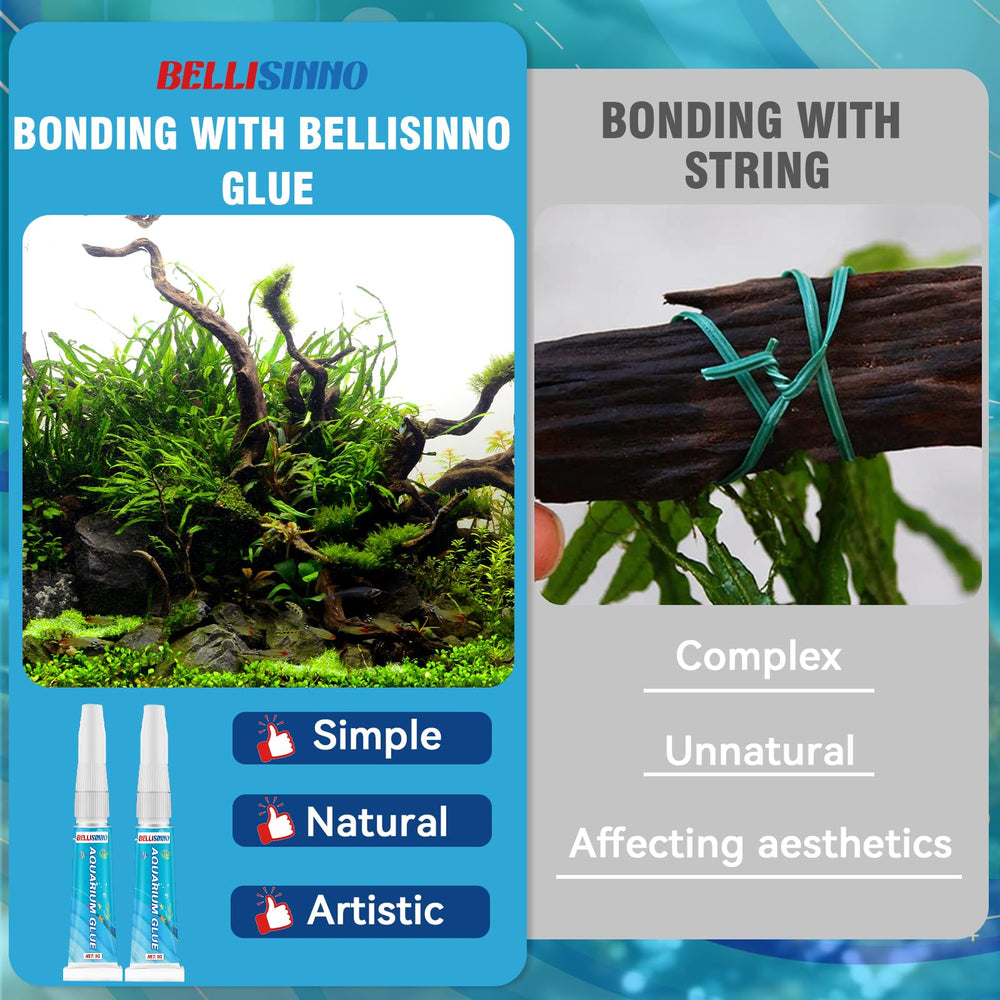 Bellisinno Aquarium Glue provides underwater bonding that blends with natural décor.